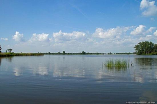 Froukje'S B&B Woerdense Verlaat Ngoại thất bức ảnh